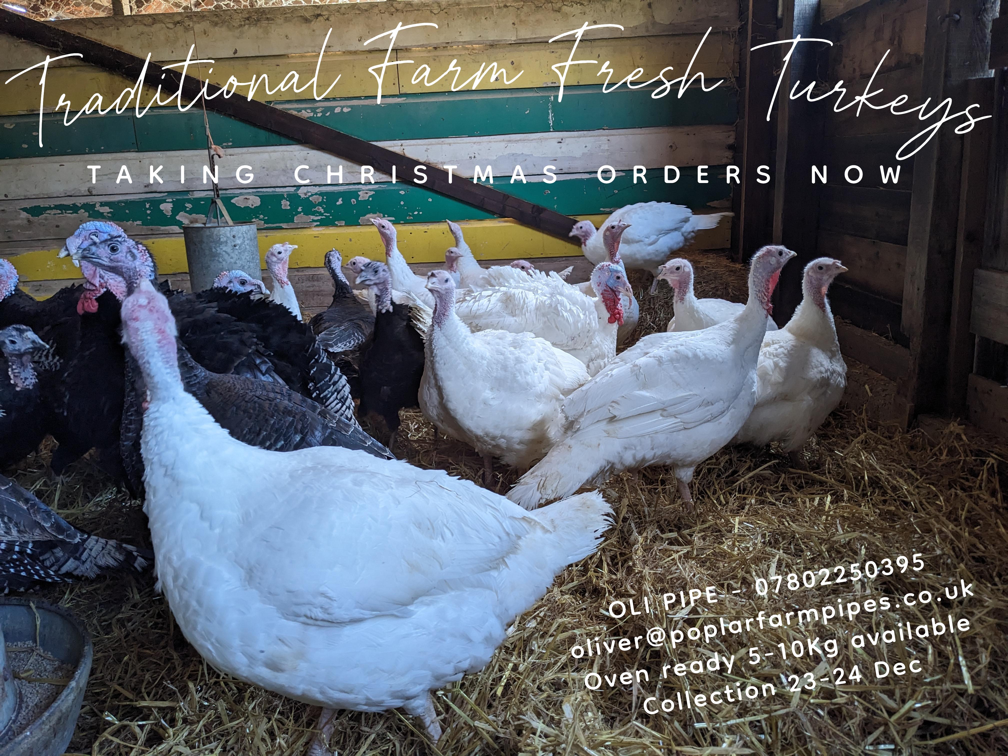 Farm Fresh Turkeys